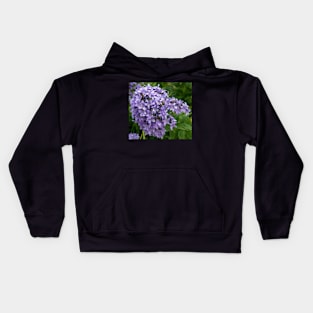 Beautiful Lilac Flowers Closeup Kids Hoodie